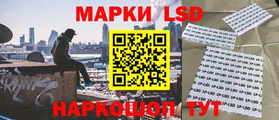 СК Заводоуковск