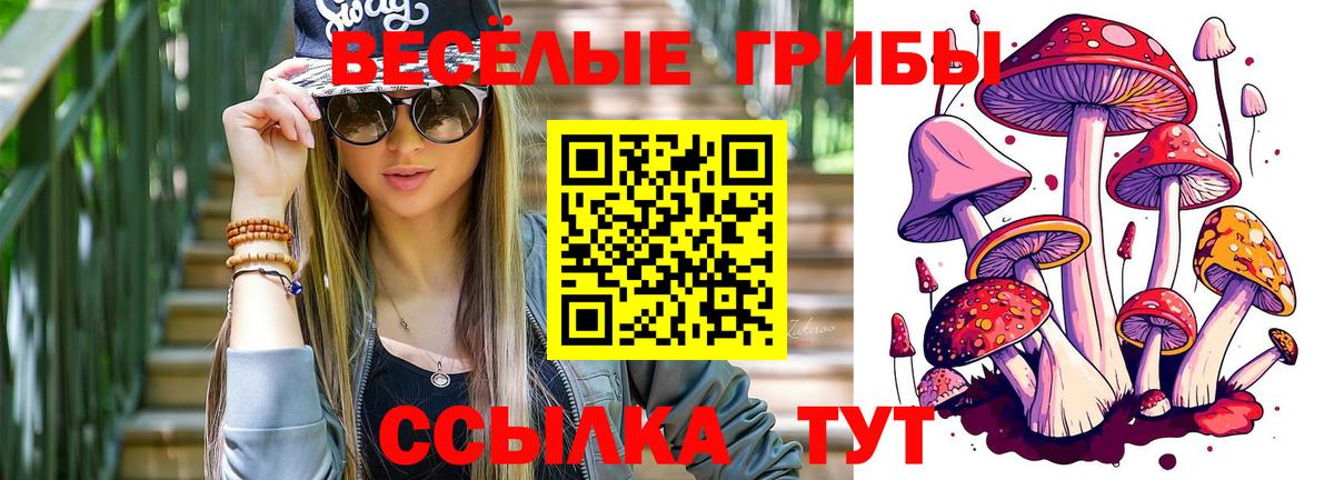 Галлюциногенные грибы ЛСД  Псилоцибиновые грибы прущие грибы  Вход с VPN  магазин  наркотиков  Новочеркасск 